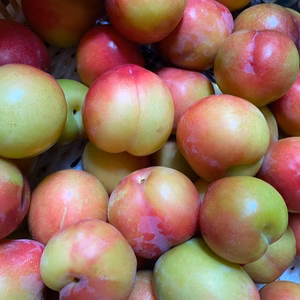 すもも 約2キロ