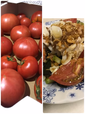 みんなの投稿の画像