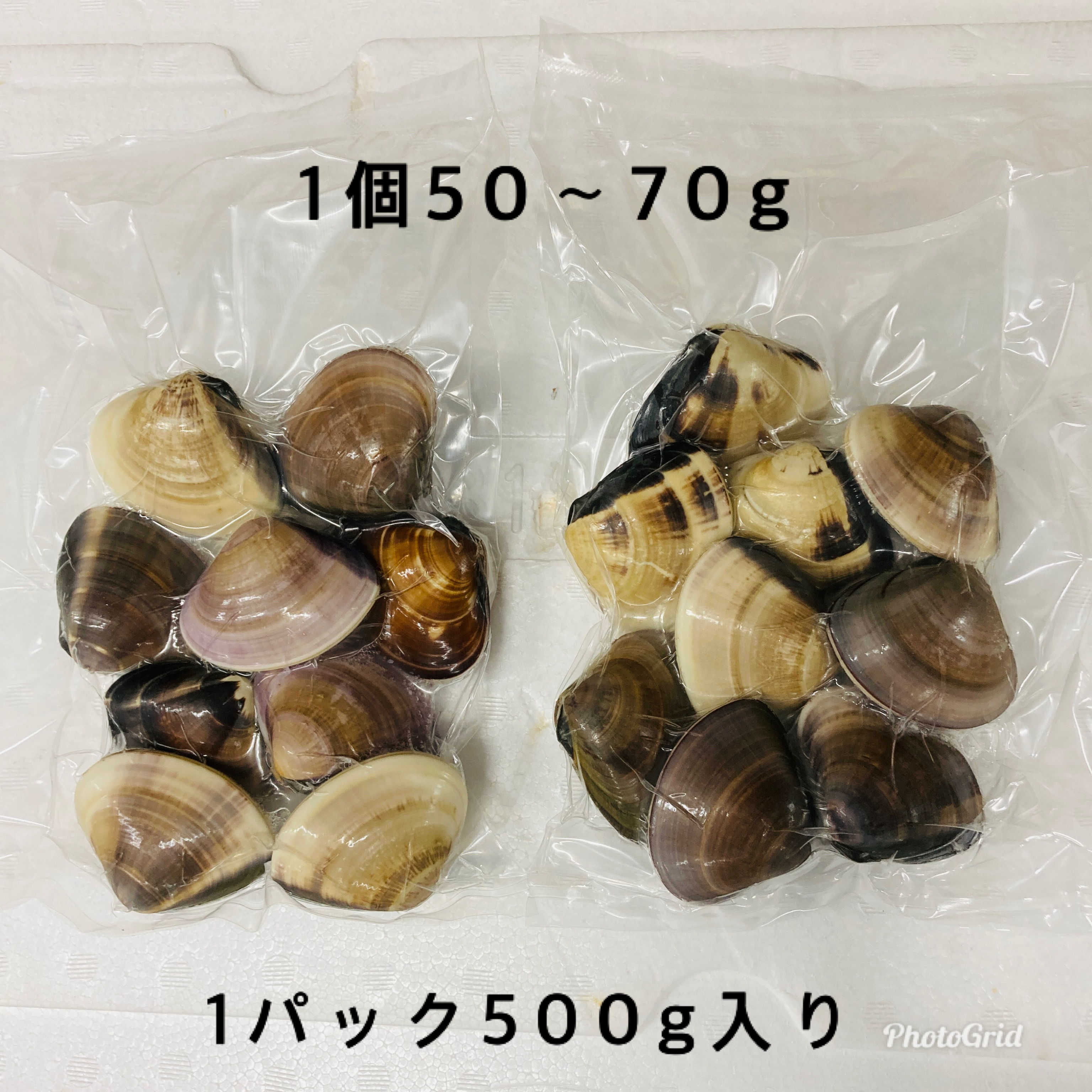 千葉県産 はまぐり 1キロ (500g×2パック)