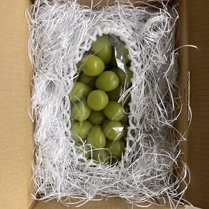 訳あり特大1キロ房　シャインマスカット　超大房