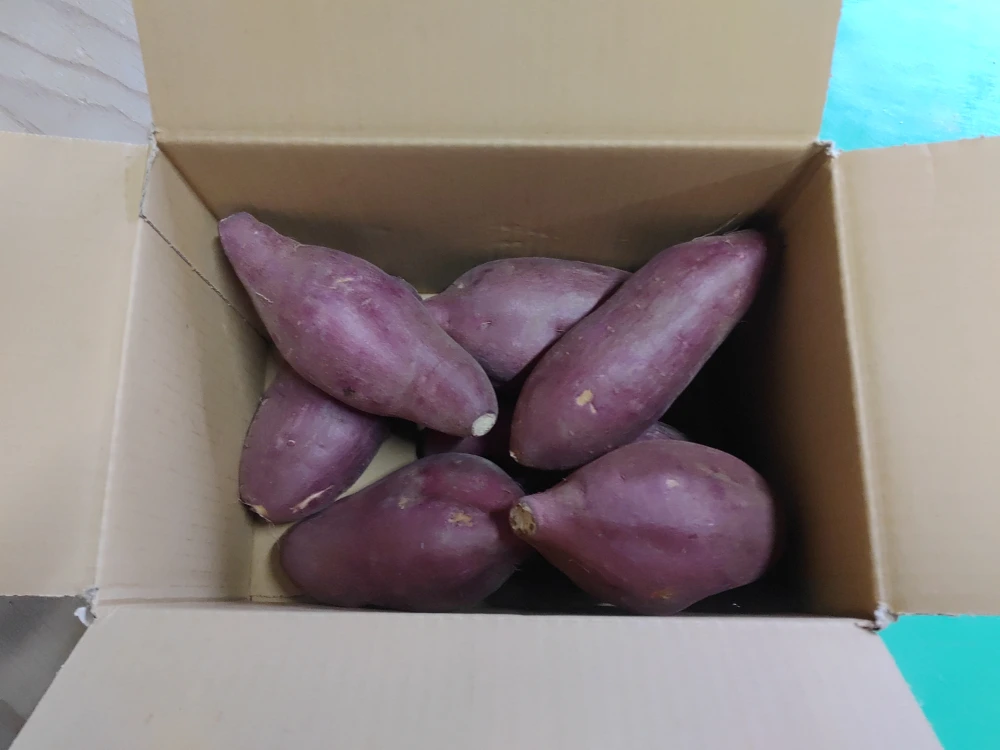 燕市の学校給食指定 天ぷらや大学芋にホクホクで甘い紅あずま　２Ｋｇ