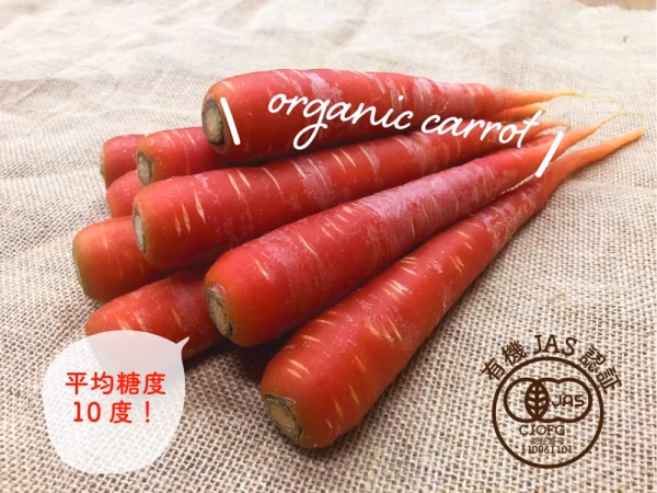 年末年始に大活躍！糖度10度超えの金時にんじん(3㎏)【有機JAS認証】