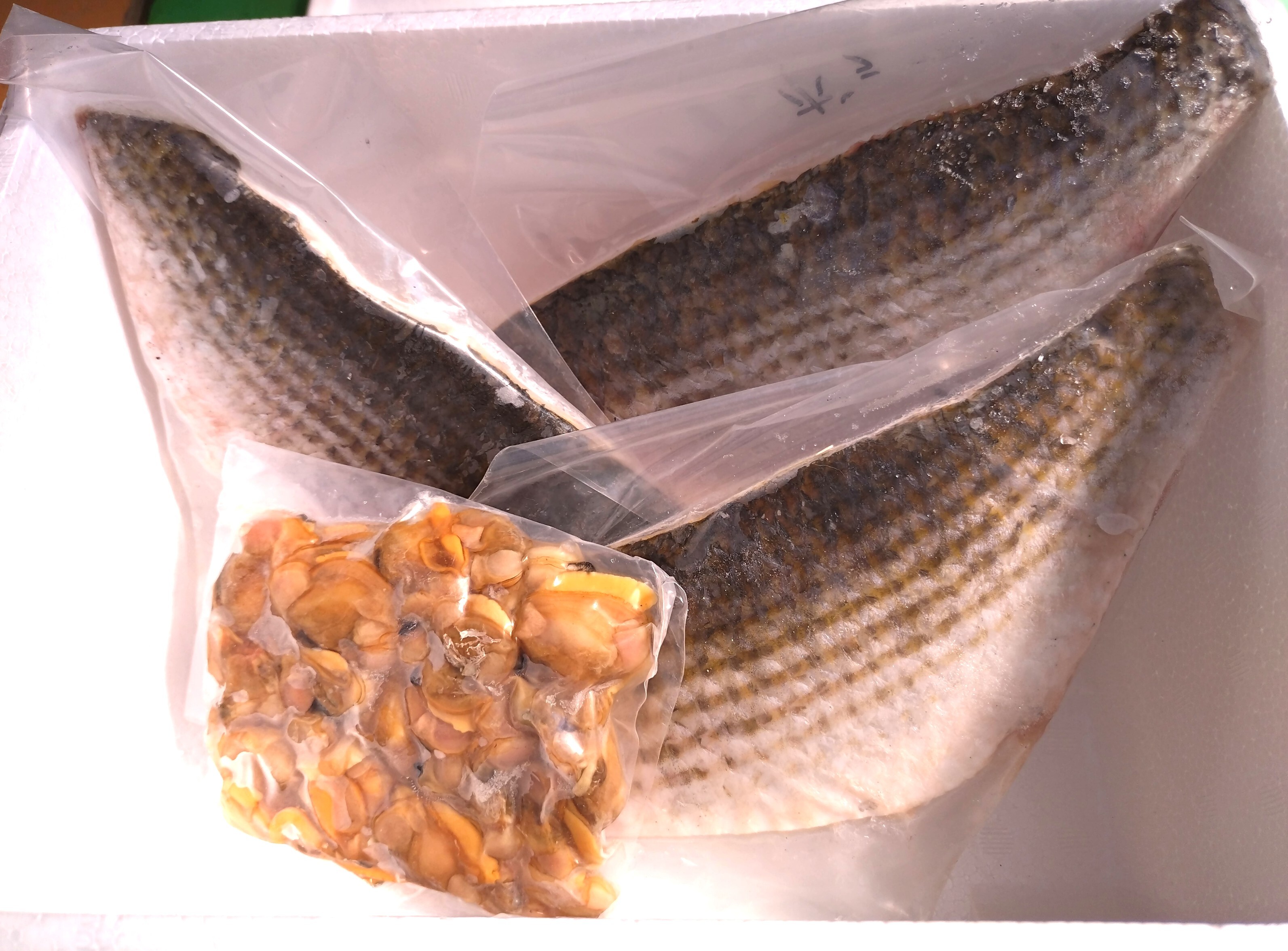 大特価！！ ボラ1kgセット【ボイルホンビノス付き】｜その他の魚介類