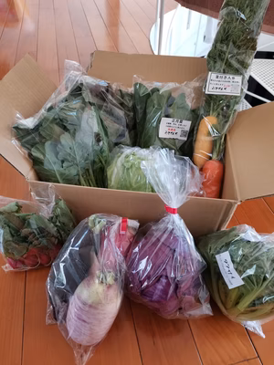 みんなの投稿の画像