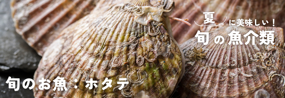 夏に旬の魚介類 ホタテ