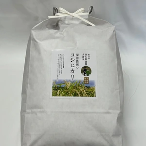 第51回日本農業賞大賞受賞　深作農園のコシヒカリ（白米）