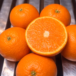 樹上完熟◉飲む柑橘！【清美オレンジ】果汁たっぷり甘うま濃厚きよみオレンジ◉