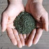 【セット⑥】徳用うれしの茶・ほうじ茶＆和紅茶ティーバッグの満足セット