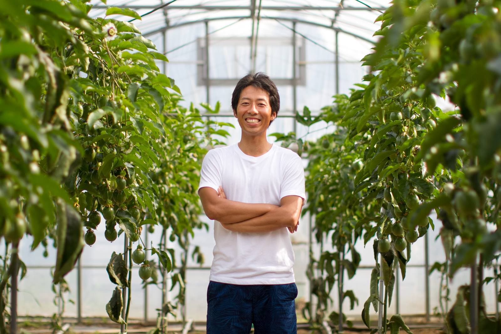 育てるだけではブランドは作れない 31歳若手パッションフルーツ農家の挑戦 千葉県館山市 梁寛樹さん 農家漁師から産地直送の通販
