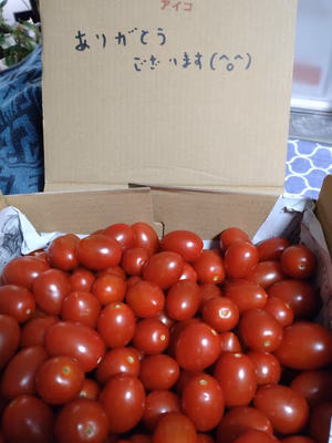 みんなの投稿の画像