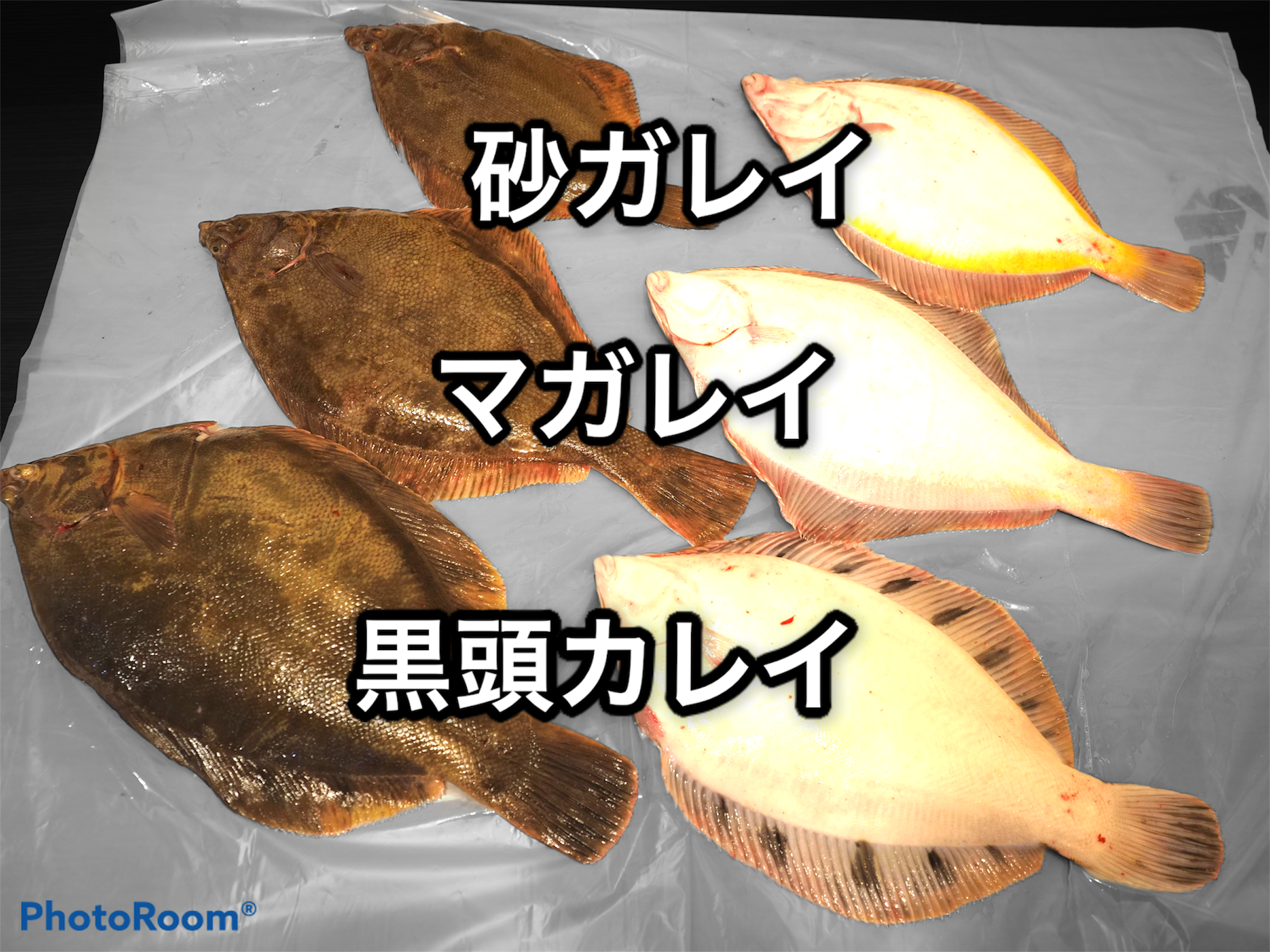 十勝の海の幸 カレイの一夜干し 農家漁師から産地直送の通販 ポケットマルシェ