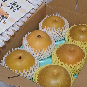 ASH-2.5 梨食べ比べ！贈答用【新美月＆豊水】2.5Kg(６玉）