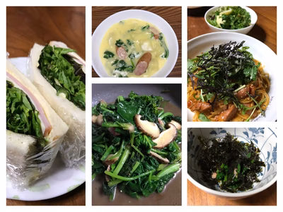 みんなの投稿の画像