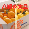 八朔＆文旦　10ｋｇ