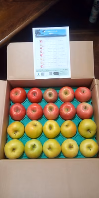 みんなの投稿の画像