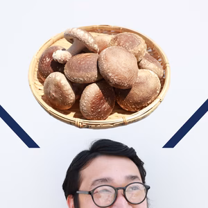 よい子の椎茸【梅】肉詰めや煮物にちょうどよいサイズ◎