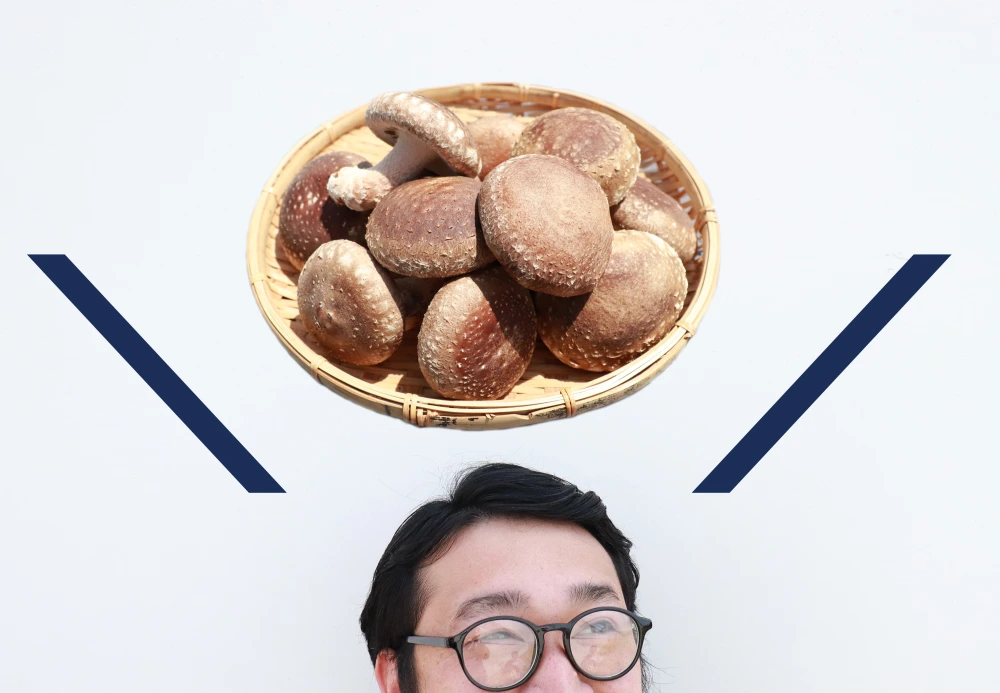 よい子の椎茸【梅】肉詰めや煮物にちょうどよいサイズ◎