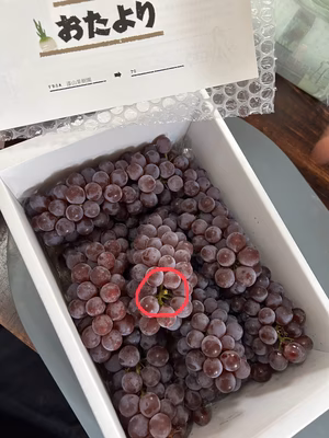 みんなの投稿の画像