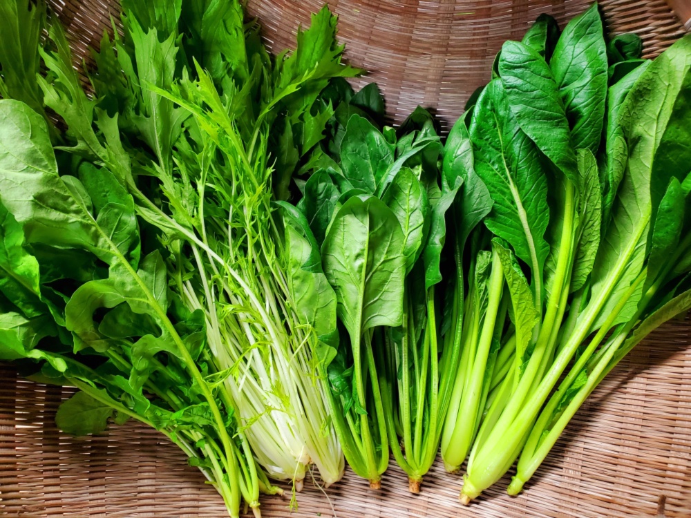 ほうれん草、小松菜、水菜、ルッコラ 有機野菜セット(常温) | 農家漁師から産地直送の通販 ポケットマルシェ ほうれん草、小松菜、水菜、ルッコラ 有機野菜セット(常温) | 農家漁師から産地直送の通販 ポケットマルシェ