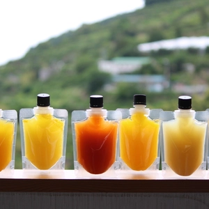 柑橘ゼリー6種飲み比べセット‼　甘平・はるか・ブラッド・伊予柑・ポンカン・なつみ