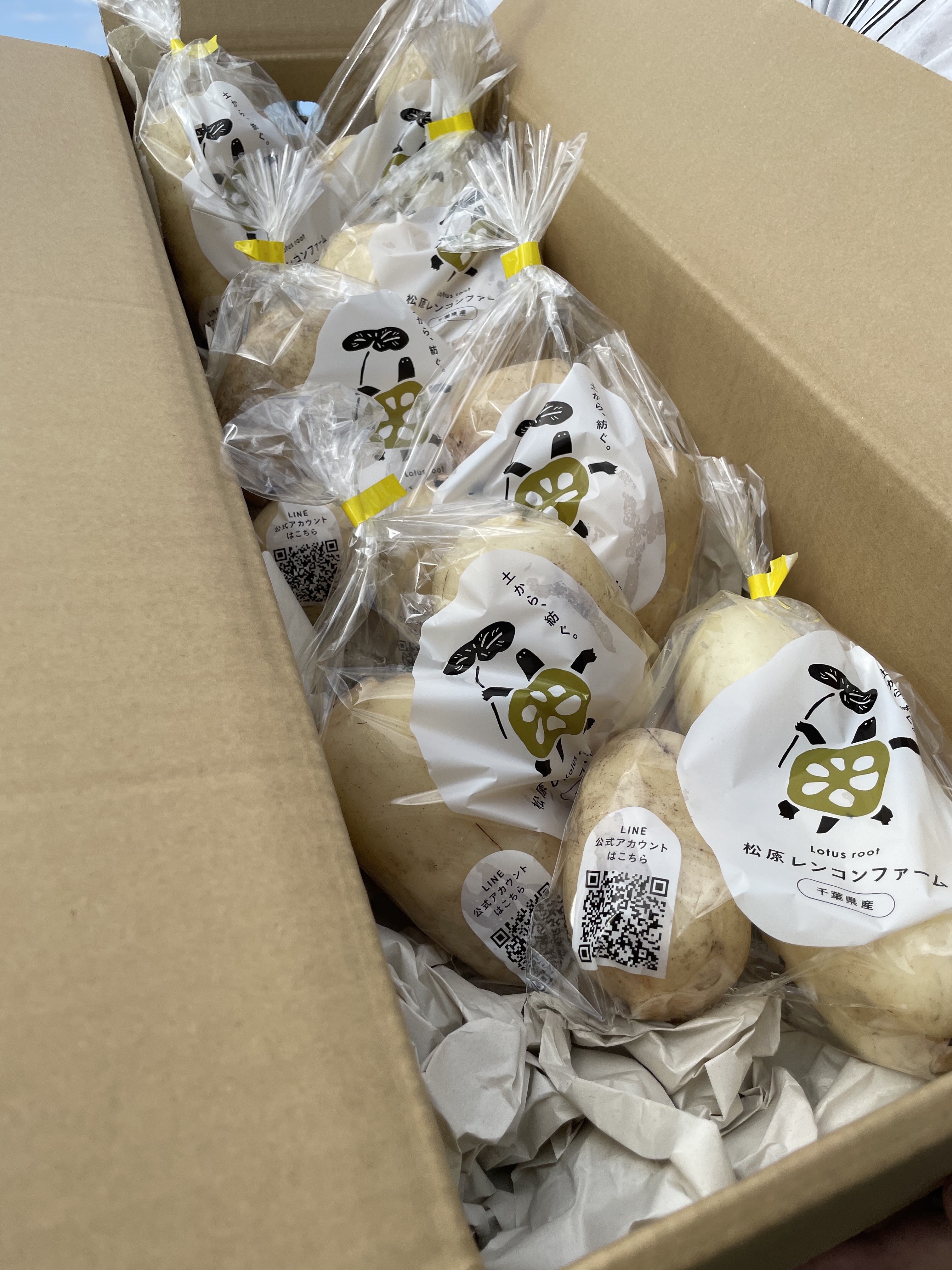 野菜ソムリエサミット【最高金賞】受賞‼️全国トップレベルのレンコン