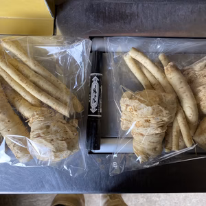 山わさび800g