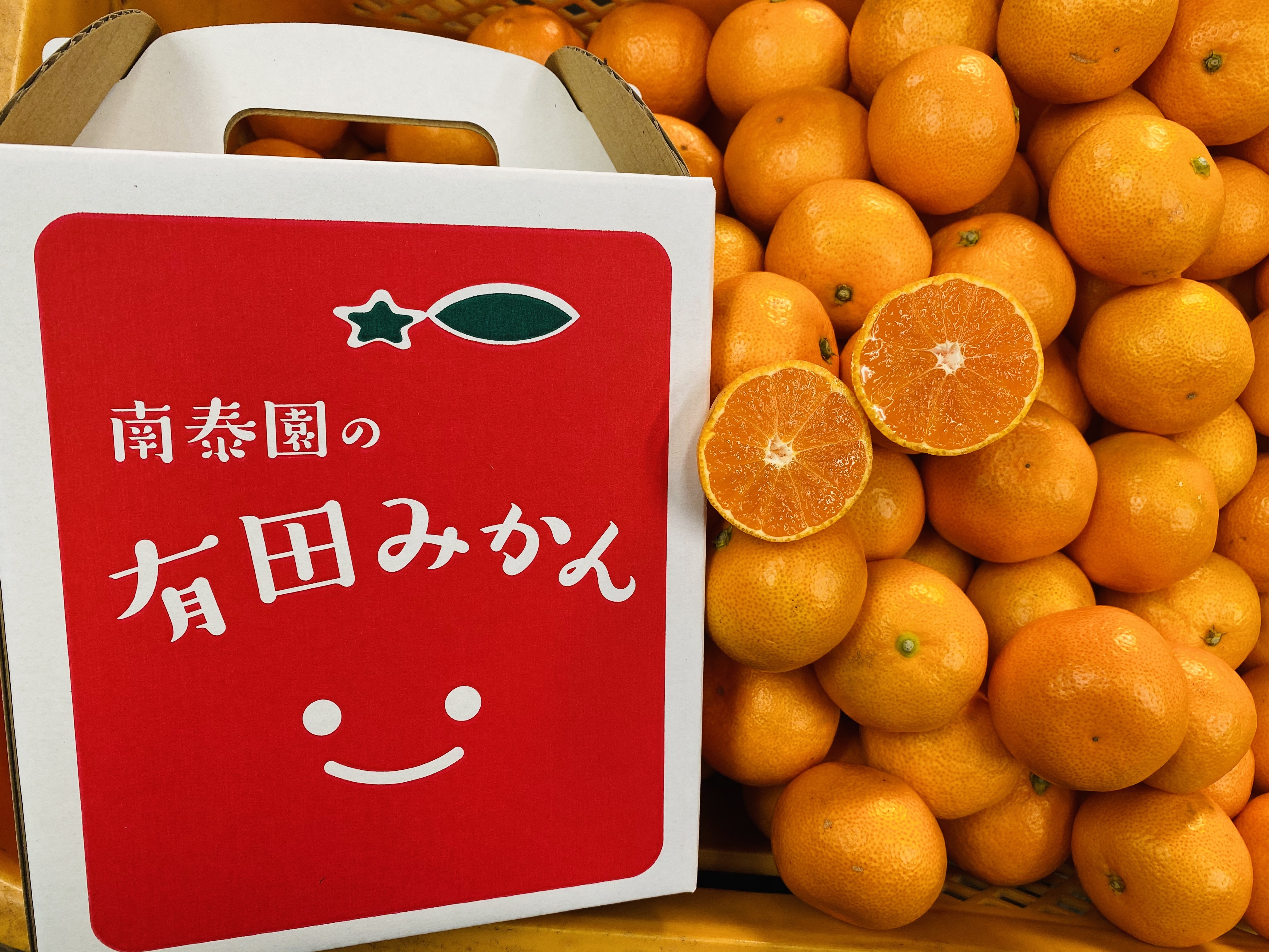 [完熟早生・有田みかん]“小玉ちゃん"/等級混合・約2.2kg[南泰園] 小玉ちゃん正味2.2kg(手さげ箱)/等級混合