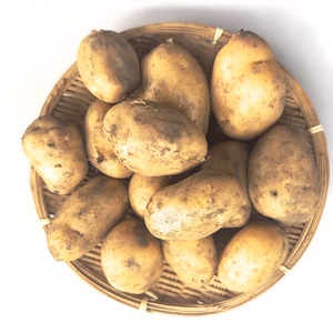 【新じゃがいも】3種類のセット(5kg)
