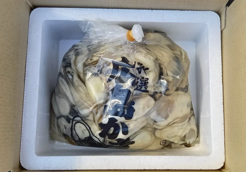 期間限定価格！　愚直に真っすぐ！正直に育てました！　広島県産生カキ 　生食用　