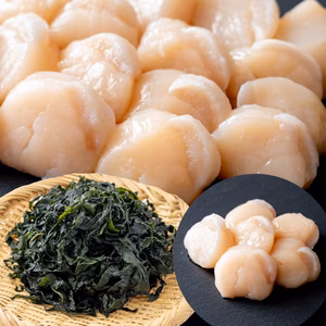 特大むき身1P&不揃い2P&塩蔵ワカメ3P｜岩手県越喜来湾崎浜産｜ホタテ貝柱むき