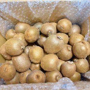 ミニキウイフルーツ