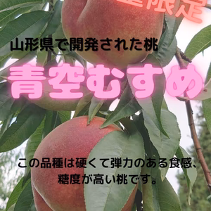 もも(青空むすめ)　9月下旬頃発送予定！