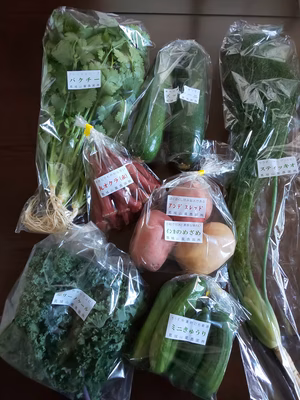 みんなの投稿の画像