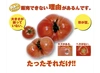 ③訳ありソムリエトマト５kg（18玉～36玉) 酸味が少ないフルーツトマト