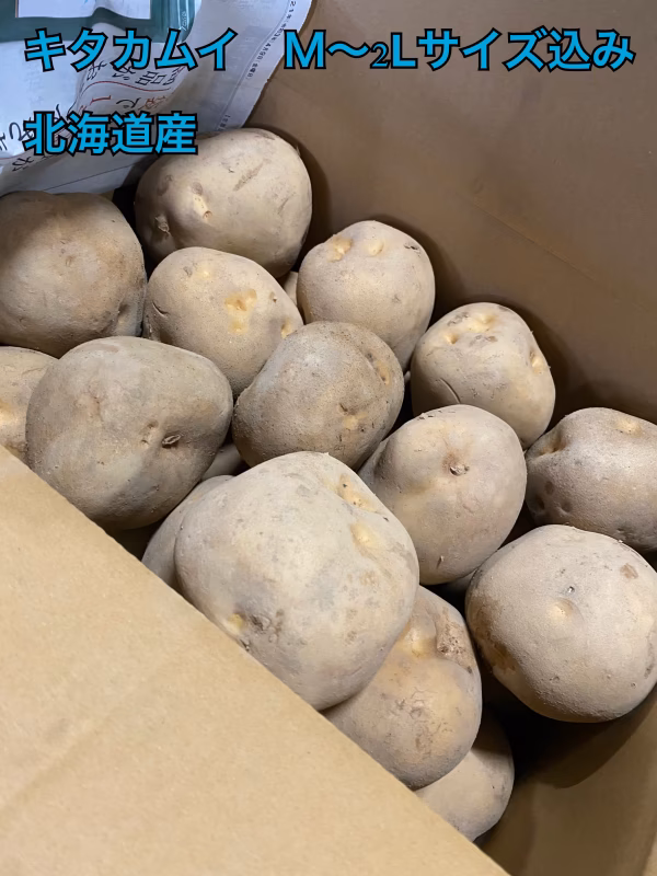 大特価！●じゃがいも キタカムイ M〜2Lサイズ ●10キロ ●北海道