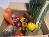 80サイズお野菜BOX！無農薬、減農薬の安心野菜セット