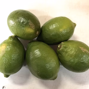 【栽培期間中農薬不使用・良品】ハウス栽培レモン　味も香りもバツグン！
