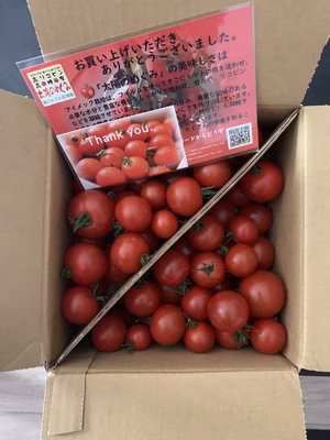 みんなの投稿の画像