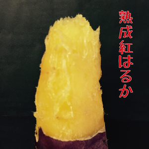 一口サイズで調理が簡単♪秋田県産 熟成2Sサイズ紅はるか　5kg