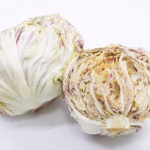 食卓に咲く「食べるバラ」。京都丹波産・高級チコリ「ルシア」