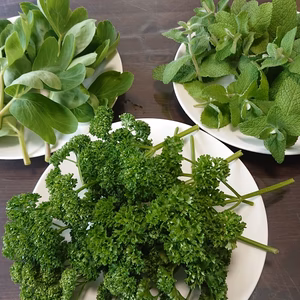 免疫力アップ！屋久島スムージーセット(冷凍)