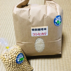 大豆(里のほほえみ)とコシヒカリ　特別栽培セット　