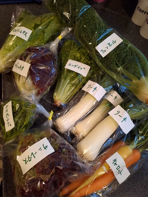 みんなの投稿の画像