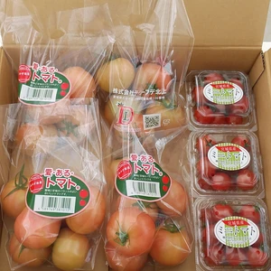 【お野菜ギフトに】愛・ある・トマト×ミニトマトセット