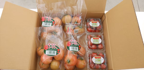 【お野菜ギフトに】愛・ある・トマト×ミニトマトセット