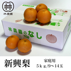 酸味と甘みのハーモニー  新興梨 家庭用  約5kg(9～14玉)