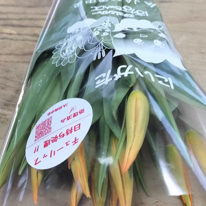【チューリップ切り花】ゆり咲　オレンジ色　ほのかに柑橘香り１０本