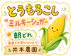 ぷりっぷり！とうもろこし【ミルキーシュガー】