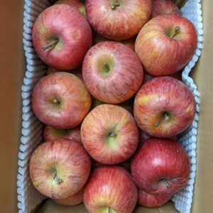 りんごバラ詰め5kg箱