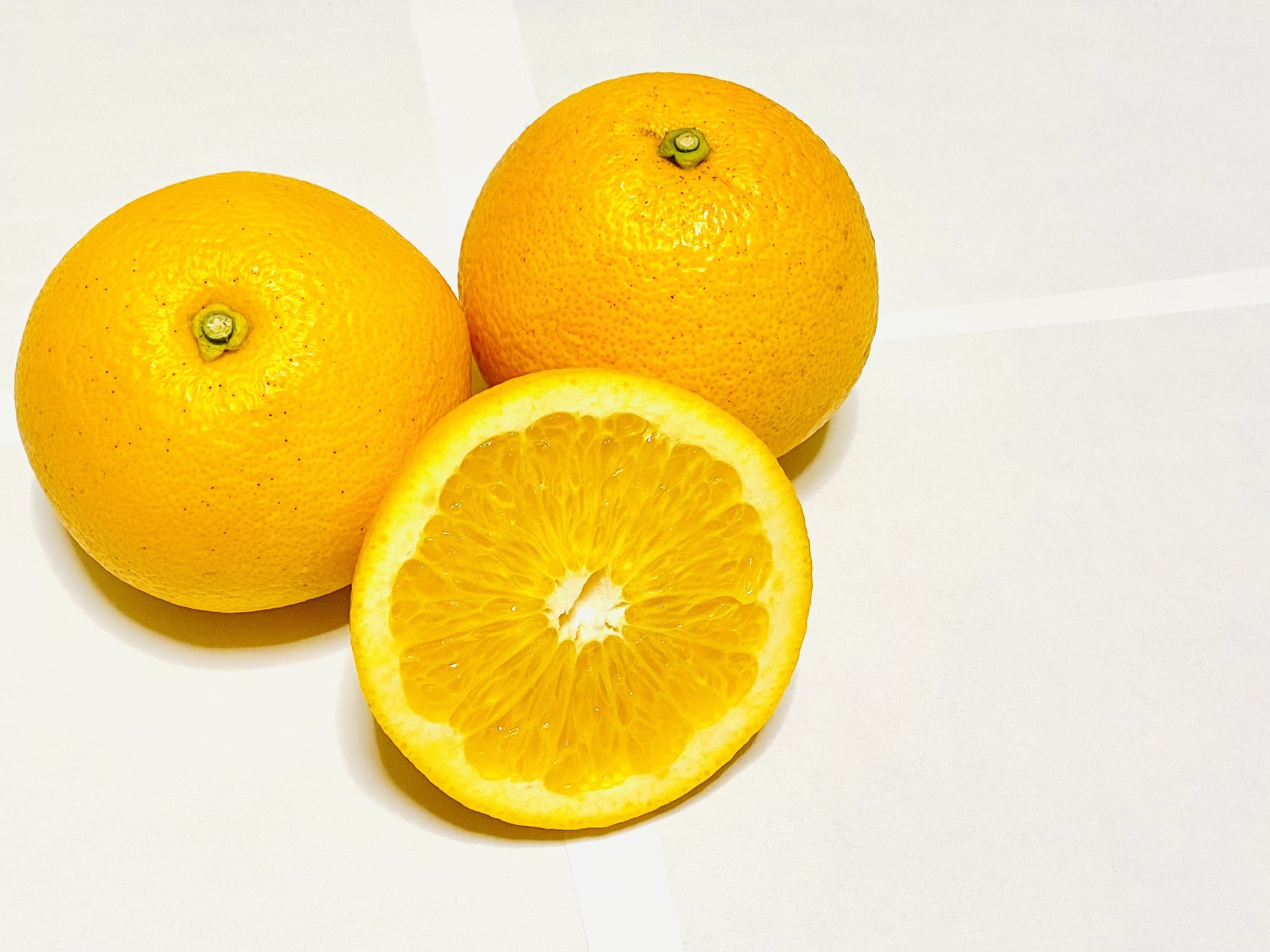 和歌山県橋本市｜美濃農園｜美濃喜介さんの生産者プロフィール